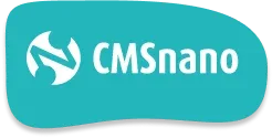 CMSnano logo